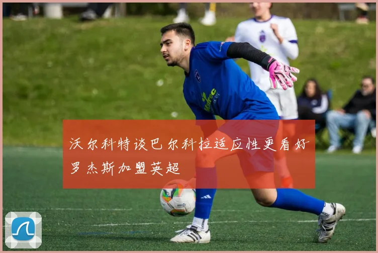 沃尔科特谈巴尔科拉适应性更看好罗杰斯加盟英超